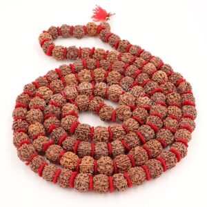 5 Mukhi Rudraksha Kantha